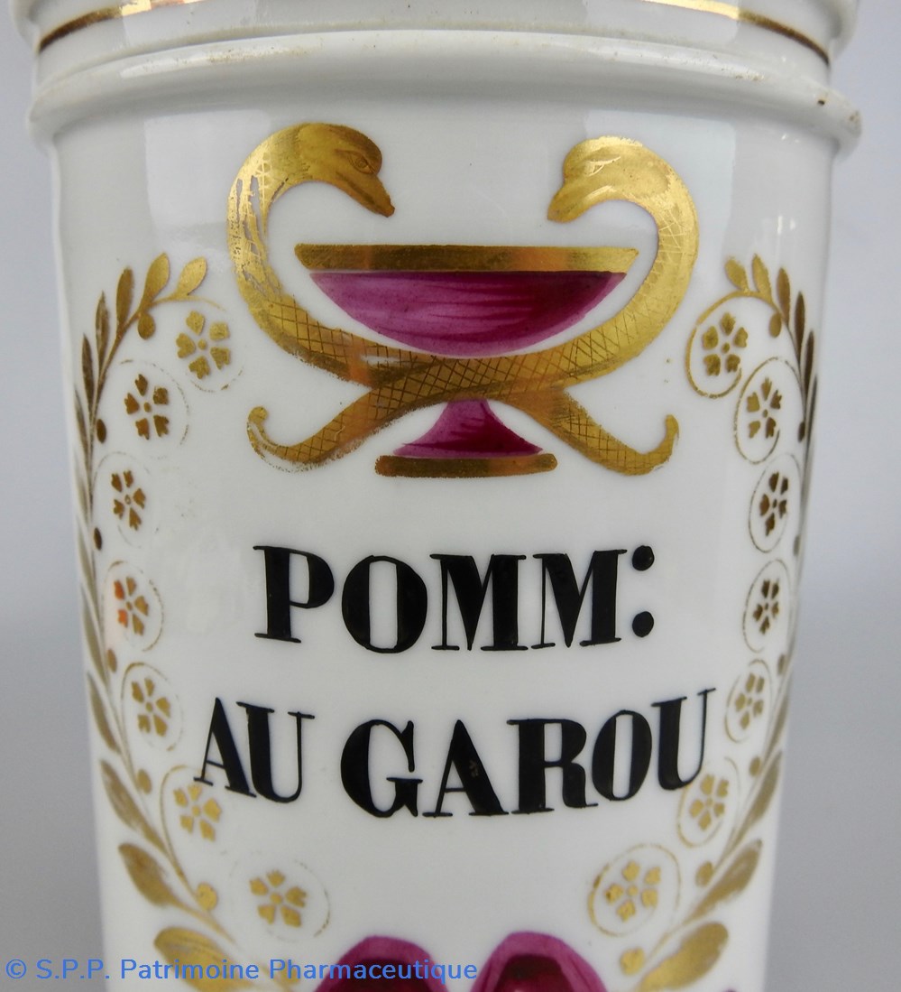 science pharmacie pomm au garou