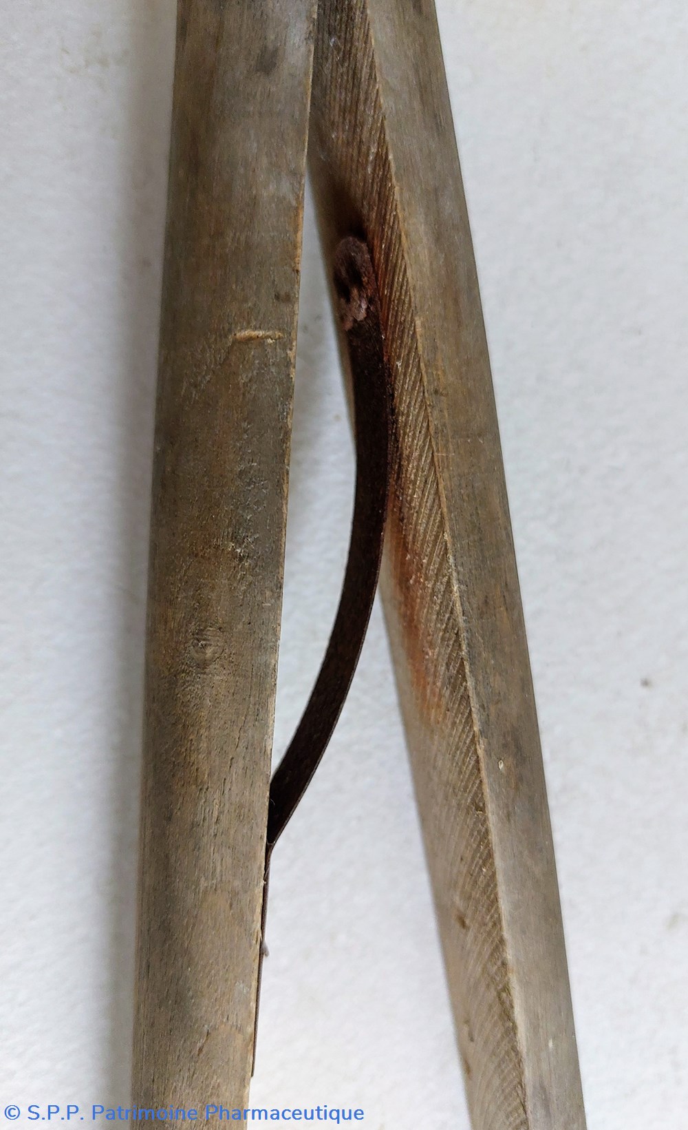 Pinces en bois de tube à essais / 20 cm 3 science pharmacie pinces en bois de tube a essais 20 cm