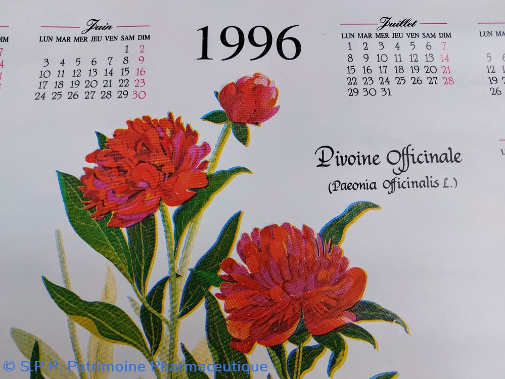 science pharmacie calendrier 1996 pivoine officinale