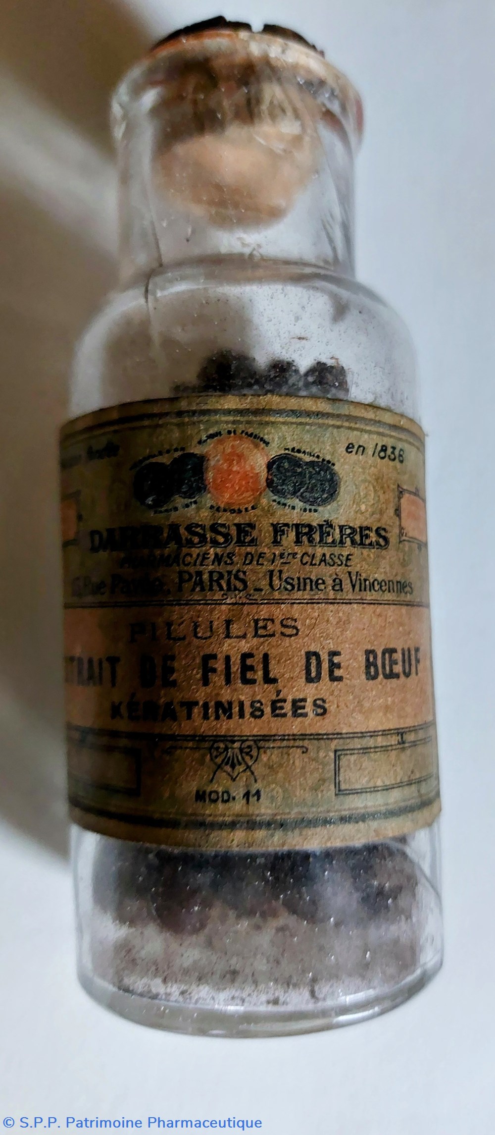Extrait de Fiel de Bœuf - Flacon de 50 pilules science pharmacie extrait de fiel de b uf flacon de 50 pilules