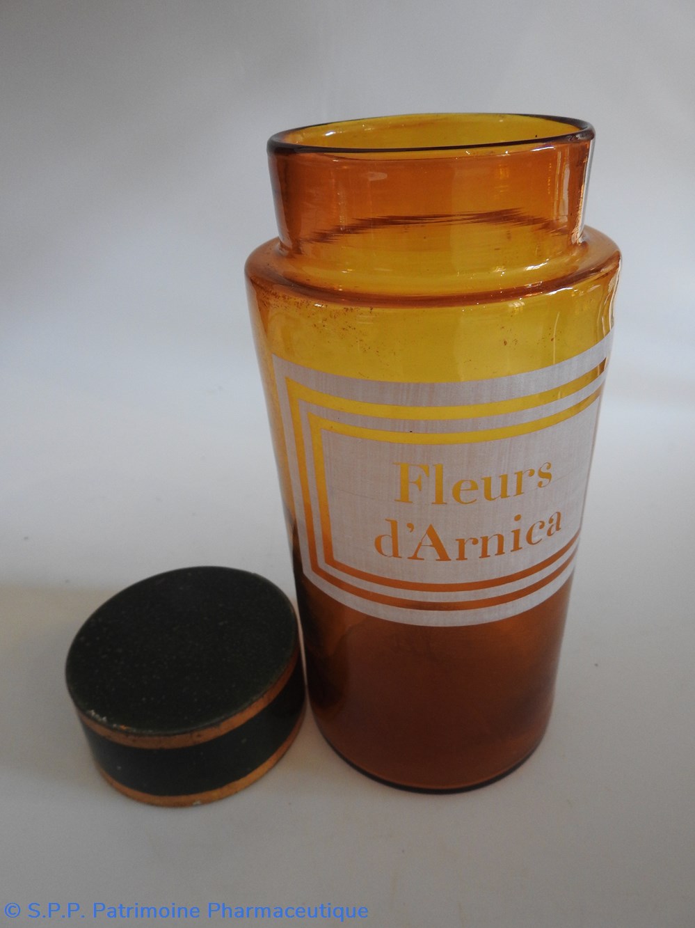 Fleurs d'ARNICA 3 science pharmacie fleurs arnica