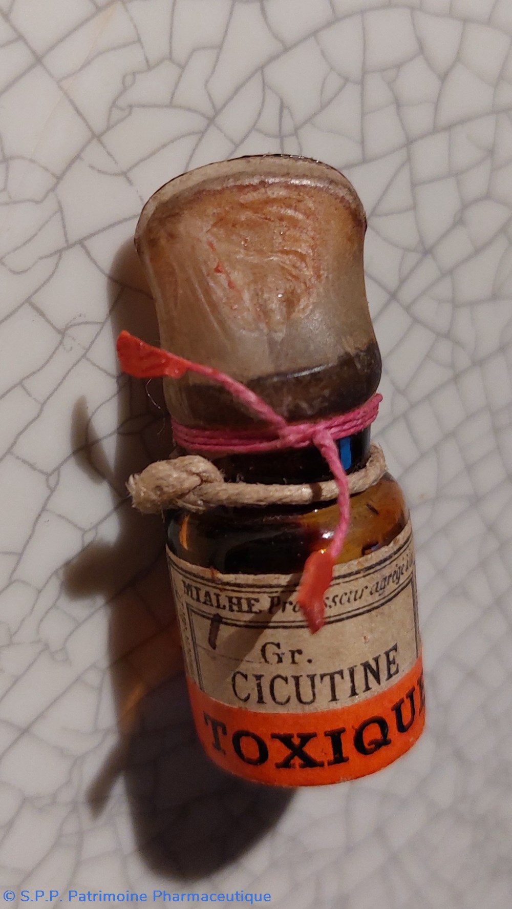 CICUTINE 1 Gr. (Liquide) 4 science cicutine 1 gr liquide
