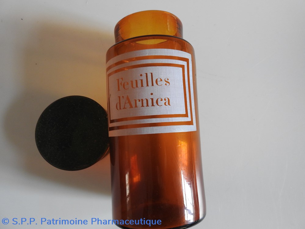 FEUILLES d'ARNICA 5 science pharmacie feuilles arnica