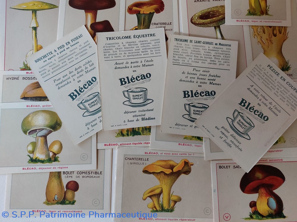 32 Cartes champignons Blécao à collectioner 2 objets publicitaires 32 cartes champignons blecao a collectioner