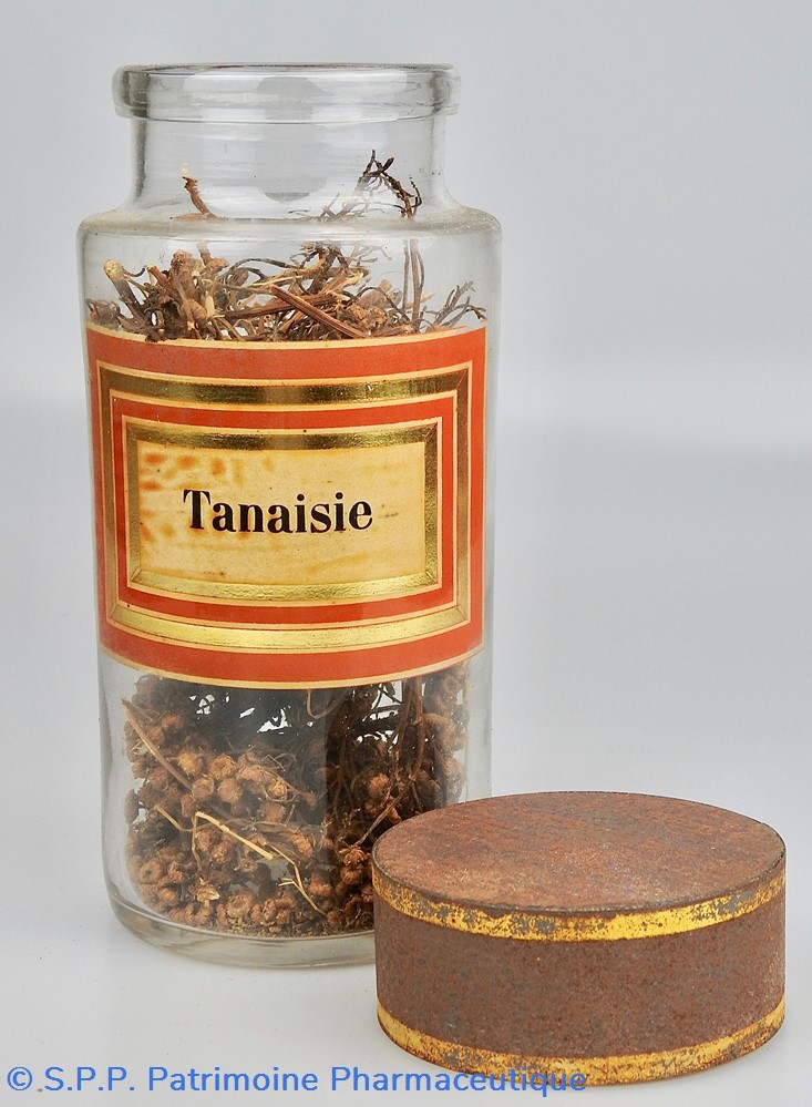 Flacon en verre Herboristerie grand modèle Pharmacie RAVASSE 3 science flacon en verre herboristerie grand modele pharmacie ravasse