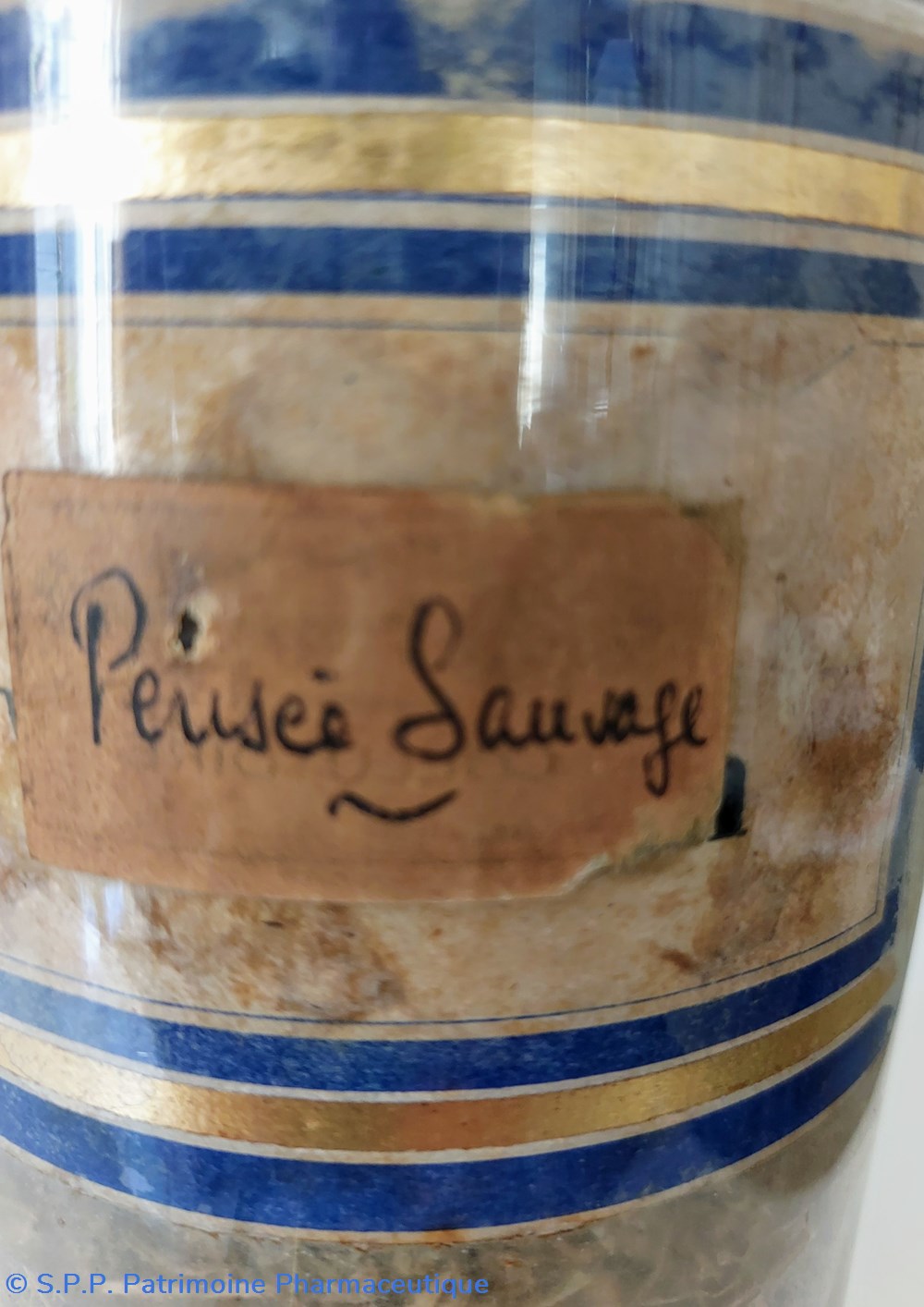 Flacon Herboristerie "Pensées Sauvages" 2 science pharmacie flacon herboristerie pensees sauvages