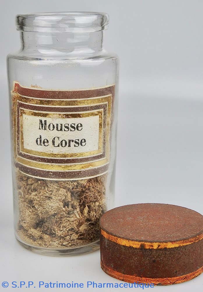 Flacon en verre Herboristerie grand modèle Pharmacie RAVASSE 3 science flacon en verre herboristerie grand modele pharmacie ravasse