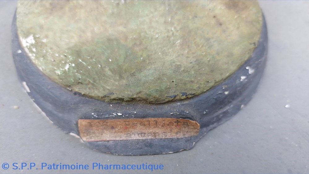 science pharmacie psalliotta campestris