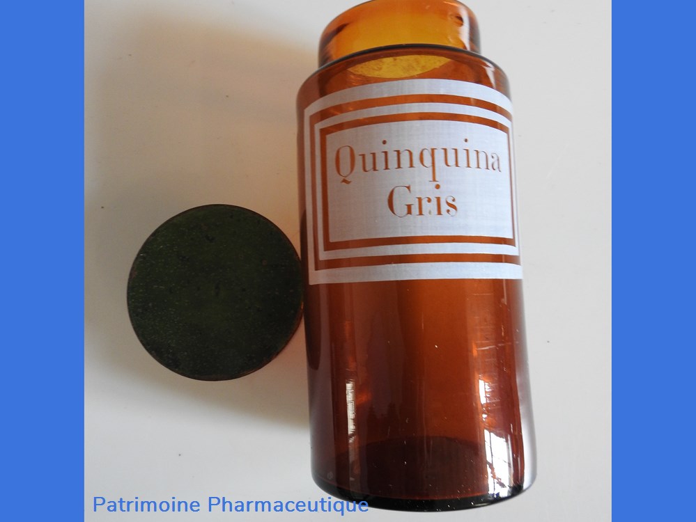 Quinquina Gris 3 science pharmacie quinquina gris