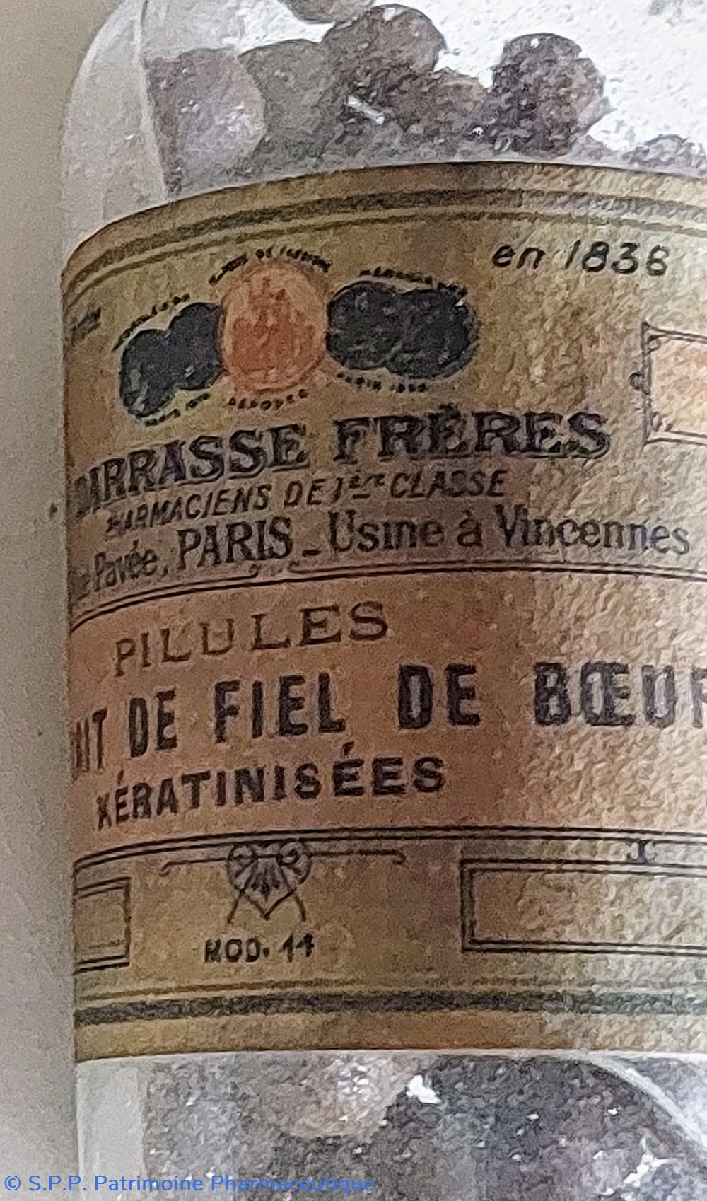 Extrait de Fiel de Bœuf - Flacon de 50 pilules 8 science pharmacie extrait de fiel de b uf flacon de 50 pilules
