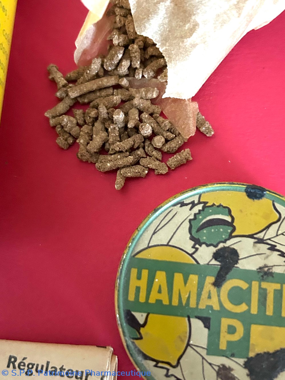 HAMACITROL P 6 science pharmacie hamacitrol p