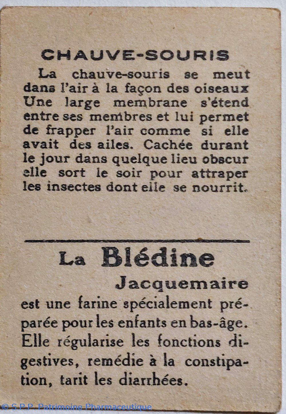 science pharmacie bon point jacquemaire la chauve souris