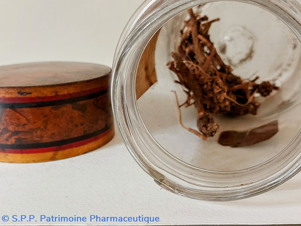 Flacon Herboristerie " Radix Polyg: Virg :" 5 science pharmacie flacon herboristerie radix polyg virg
