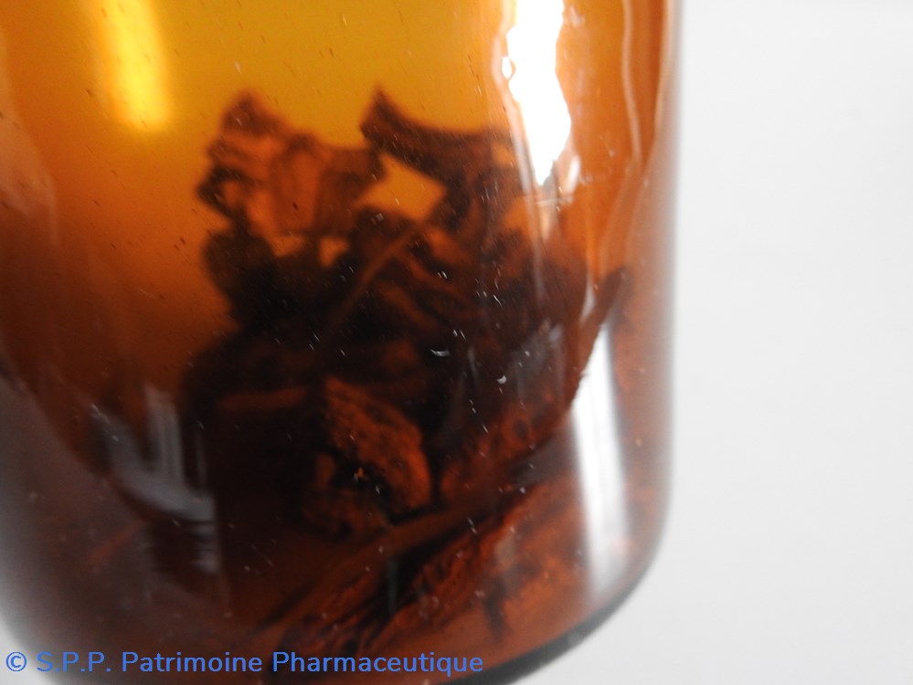 science pharmacie racine de gentiane
