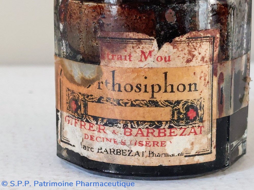 Orthosiphon petit pot en verre 2 science pharmacie orthosiphon petit pot en verre