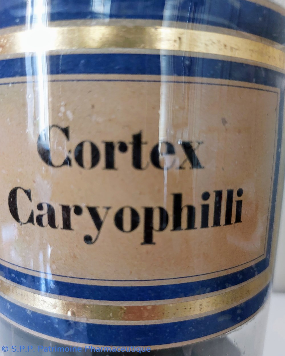 Flacon Herboristerie "Cortex Caryophilli" 2 science pharmacie flacon herboristerie cortex caryophilli