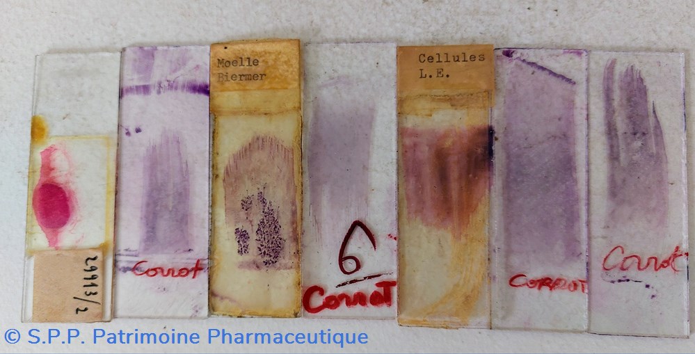 Lames de microscope 3 science pharmacie lames de microscope