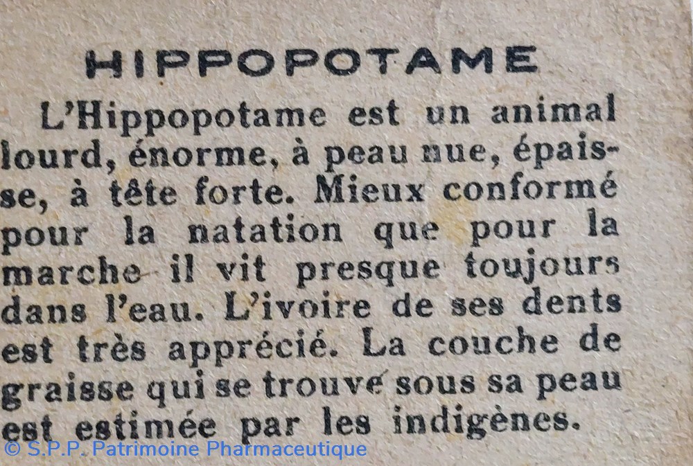 science pharmacie bon point jacquemaire hippopotame