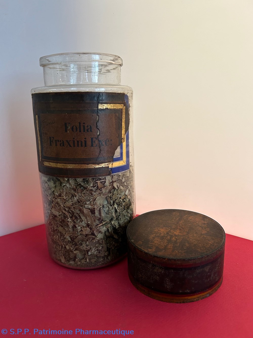 science pharmacie folia fraxini exc