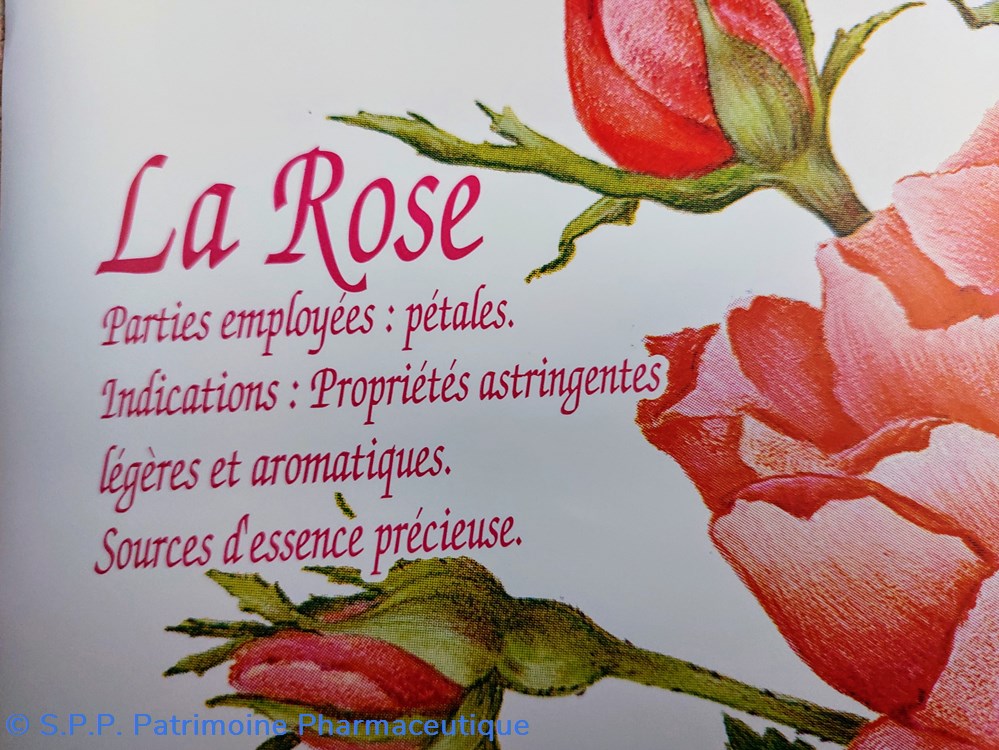 science pharmacie calendrier 2002 rose