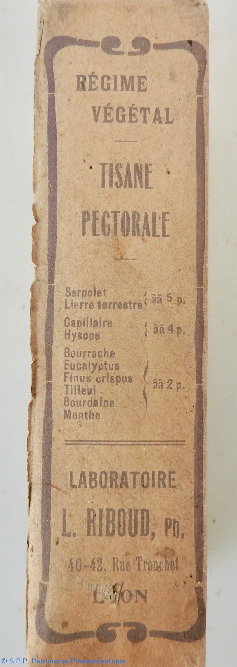 science pharmacie tisane pectorale