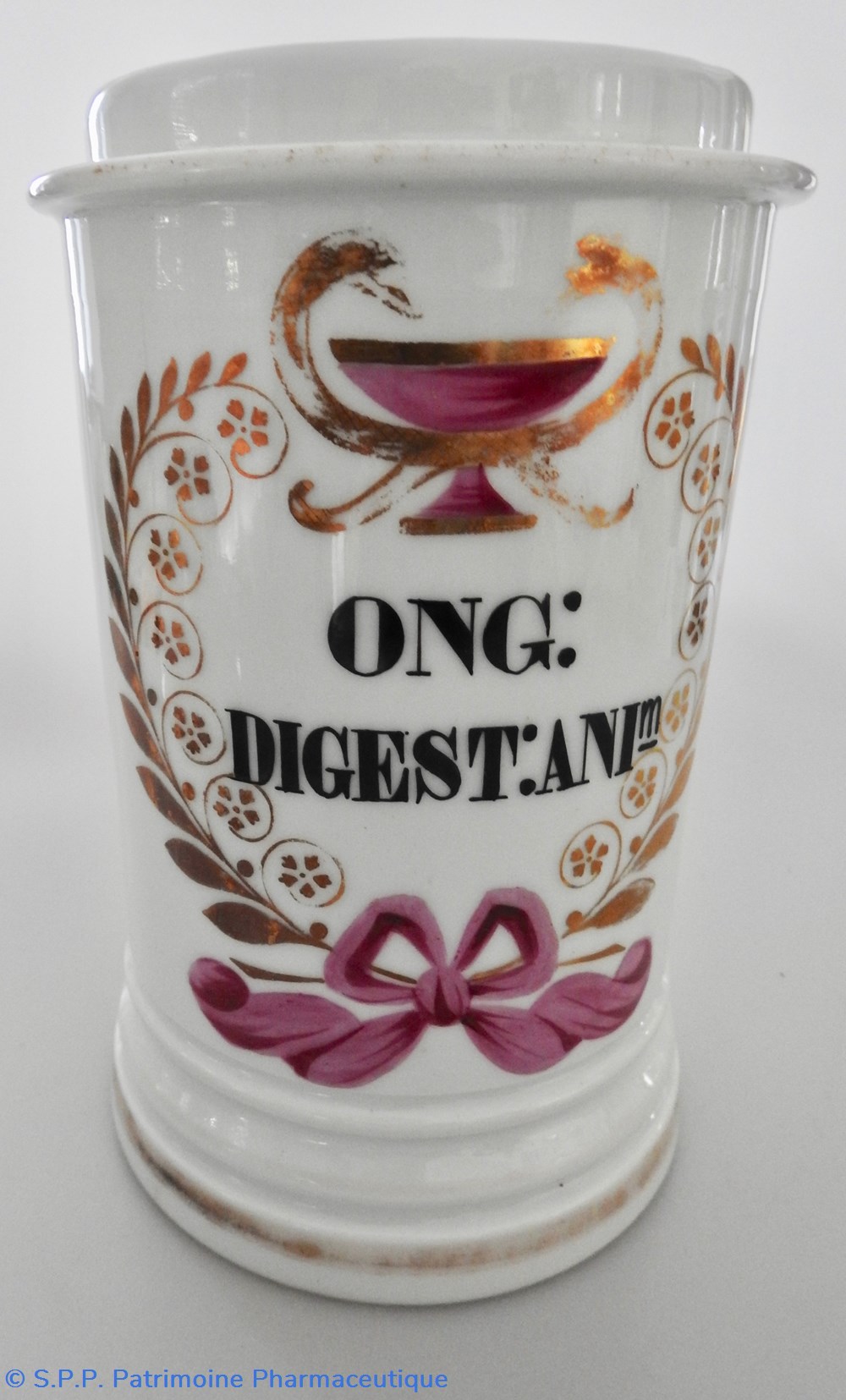 ONG : DIGEST : ANIm 2 science pharmacie ong digest anim
