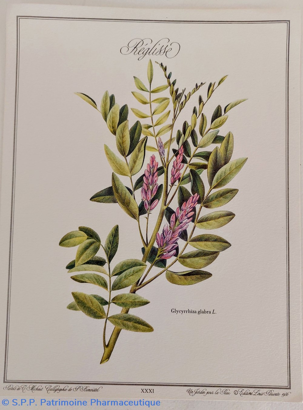 science pharmacie herbier reglisse