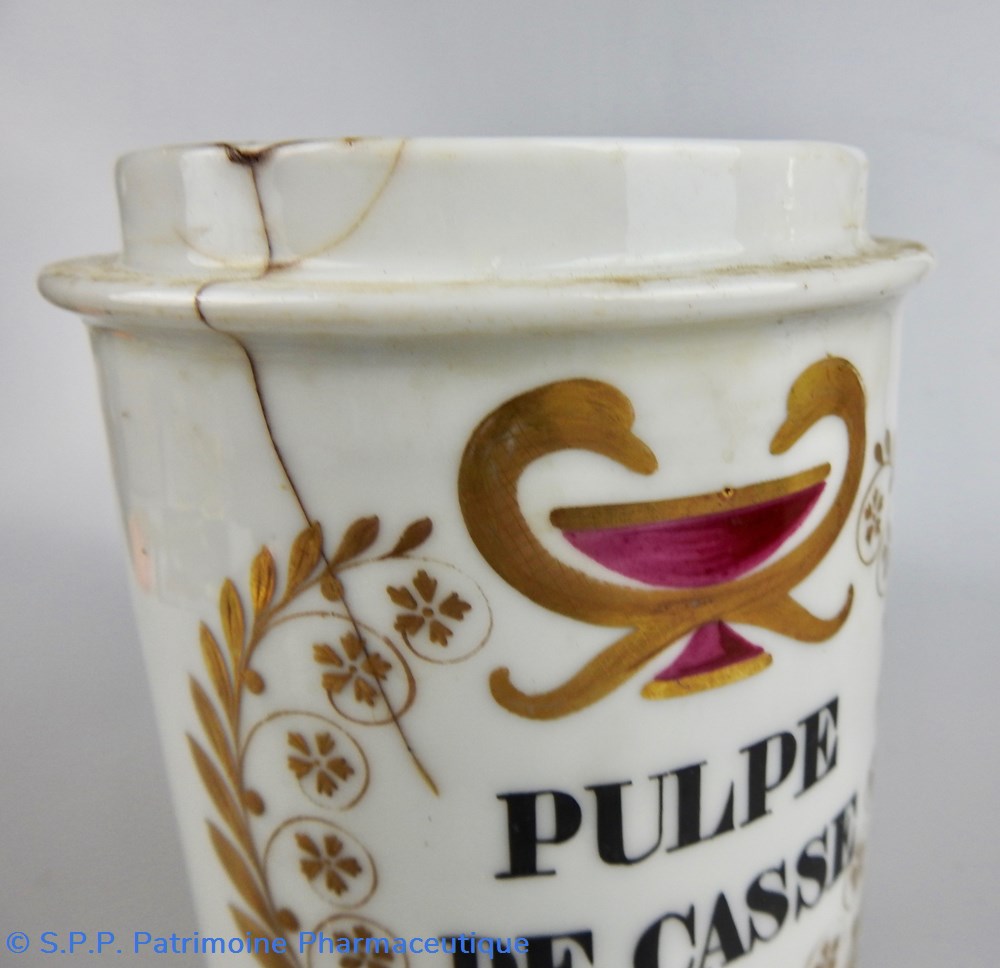 PULPE DE CASSE 3 science pharmacie pulpe de casse