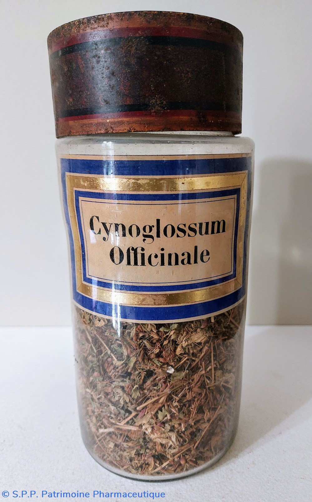 science pharmacie flacon herboristerie cynoglossum officinale