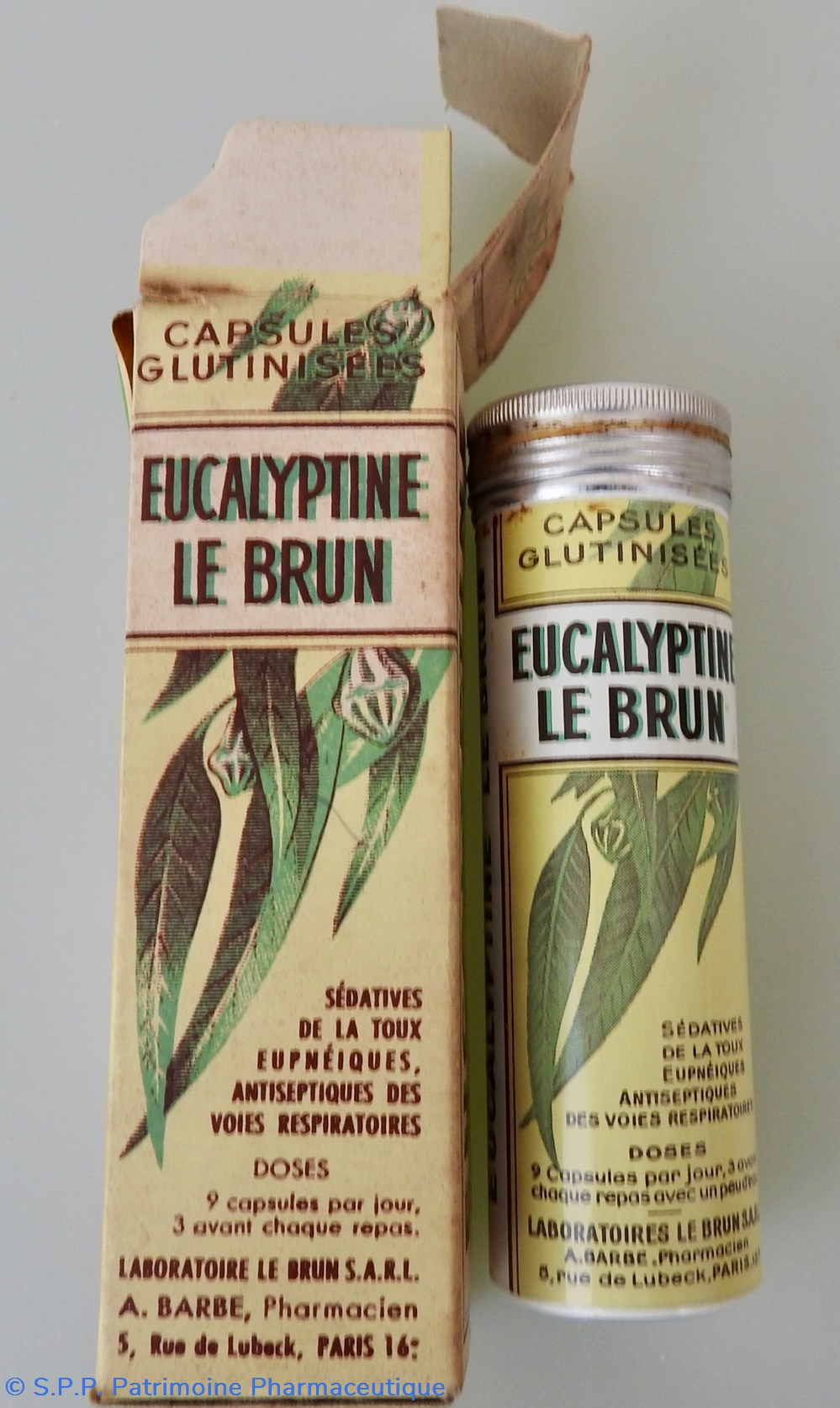 EUCALYPTINE LE BRUN Capsules science pharmacie eucalyptine le brun capsules