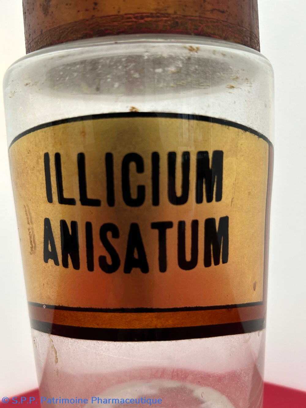 science pharmacie illicium anisatum