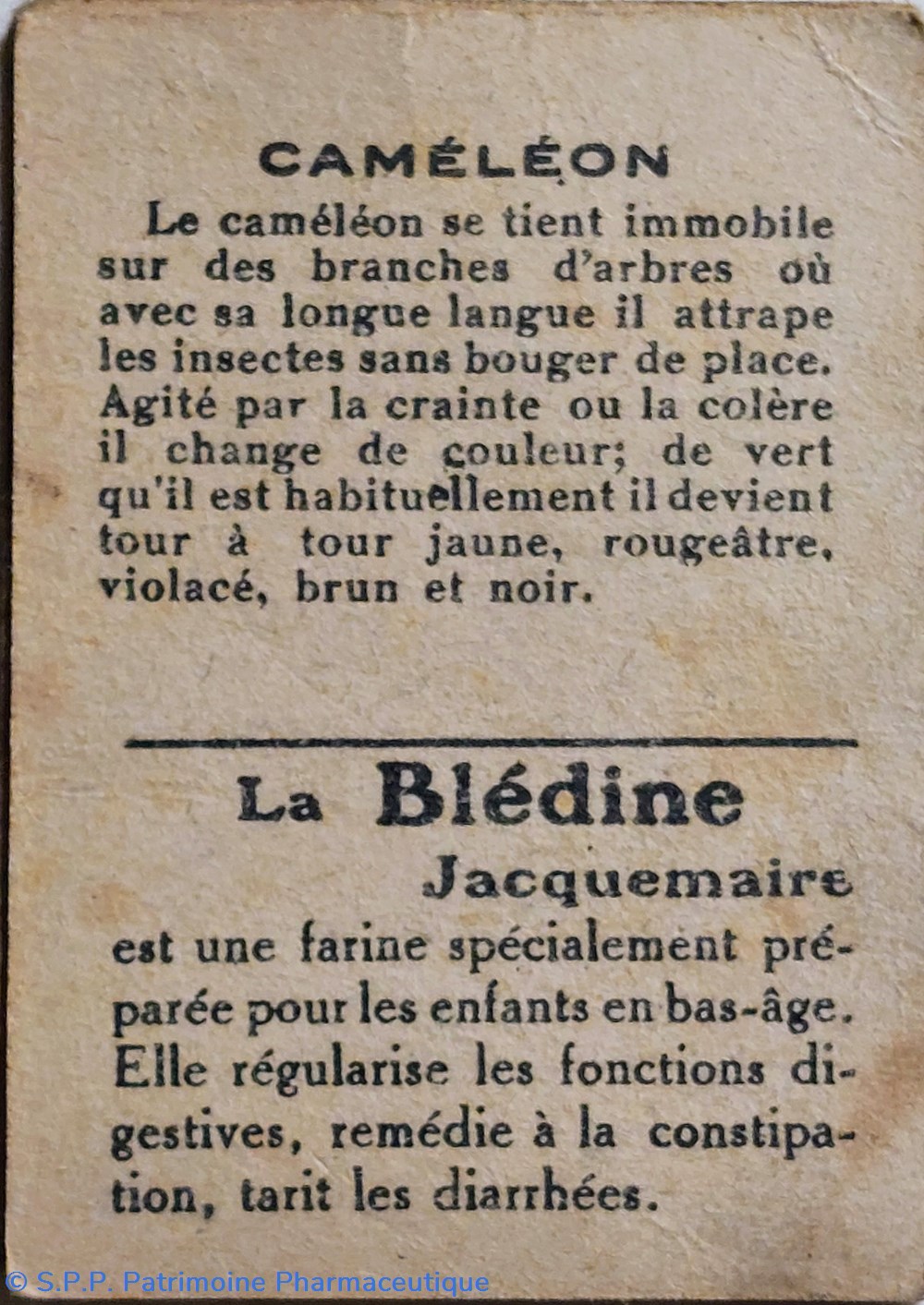 science pharmacie bon point jacquemaire le cameleon