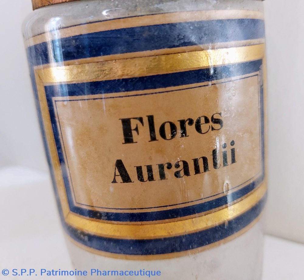 Flores Aurantii 2 science pharmacie flores aurantii