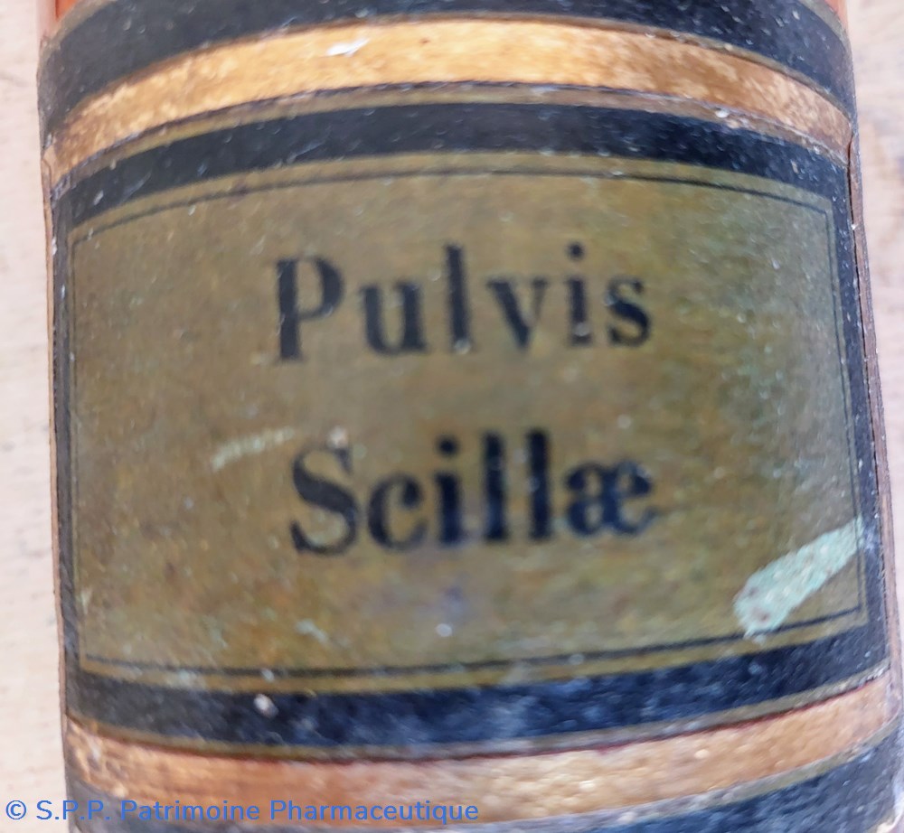 Flacon de Pharmacie en verre ambré Pulvis Scillae 3 science flacon de pharmacie en verre ambre pulvis scillae