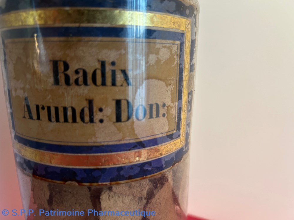 science pharmacie radix arund don