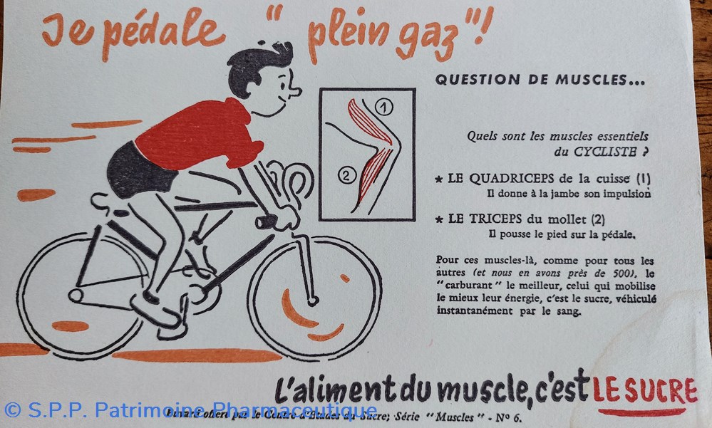 science pharmacie le sucre aliment du muscle serie muscles n 6 cyclisme