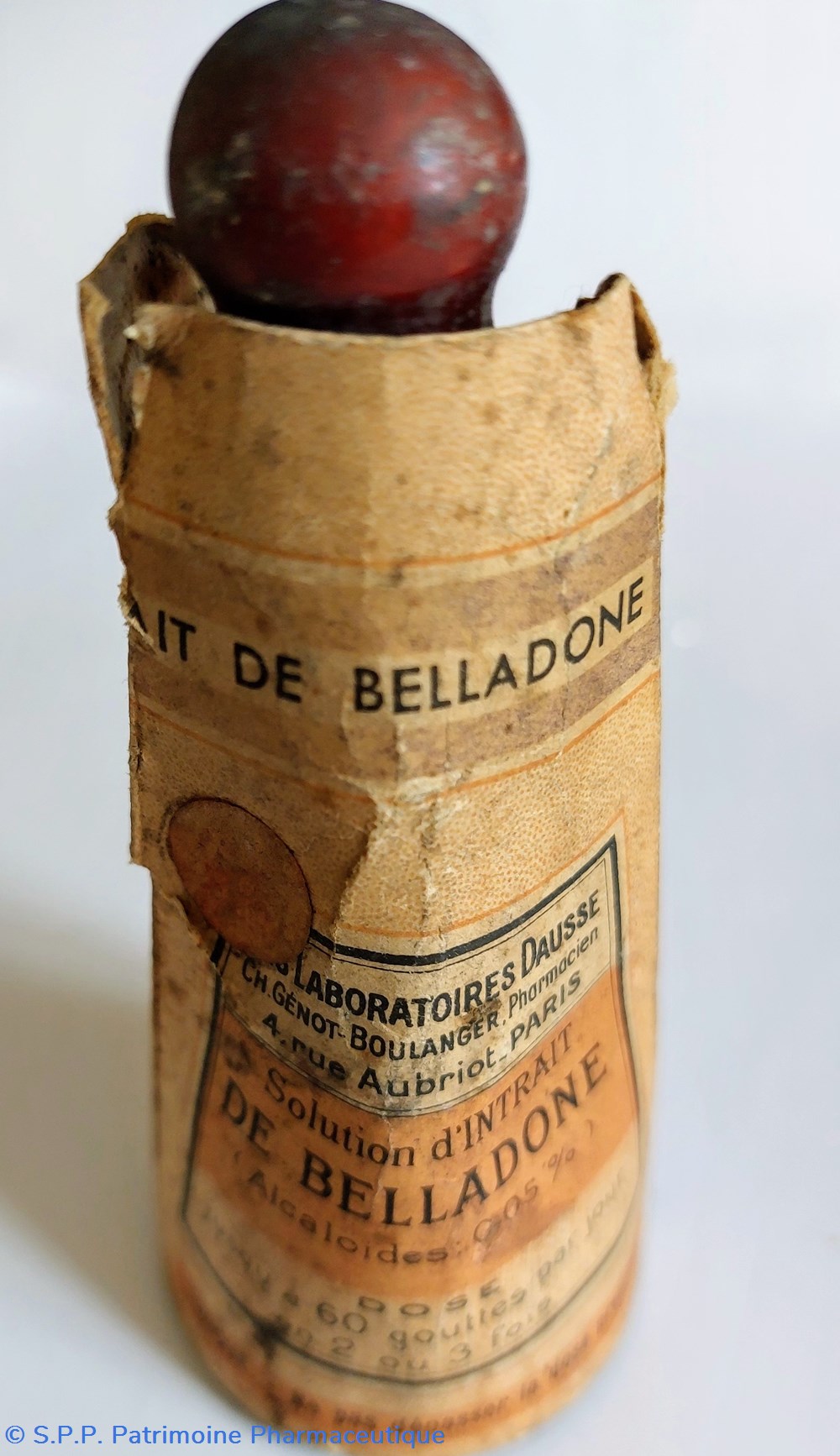 Solution d'Intrait de BELLADONE ( Liquide) 2 science solution intrait de belladone liquide
