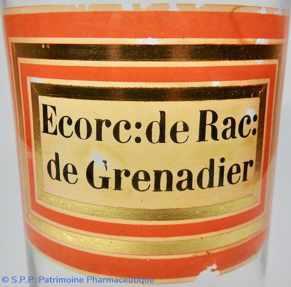 Flacon en verre Herboristerie grand modèle Pharmacie RAVASSE 2 science flacon en verre herboristerie grand modele pharmacie ravasse