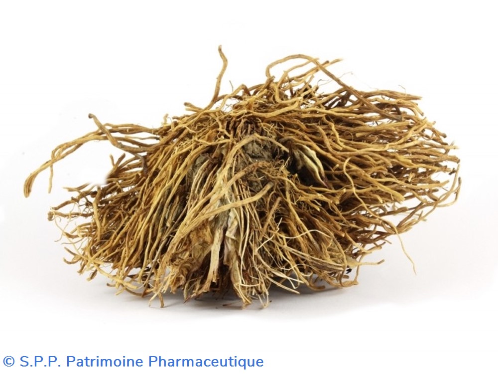 science flacon en verre herboristerie grand modele pharmacie ravasse