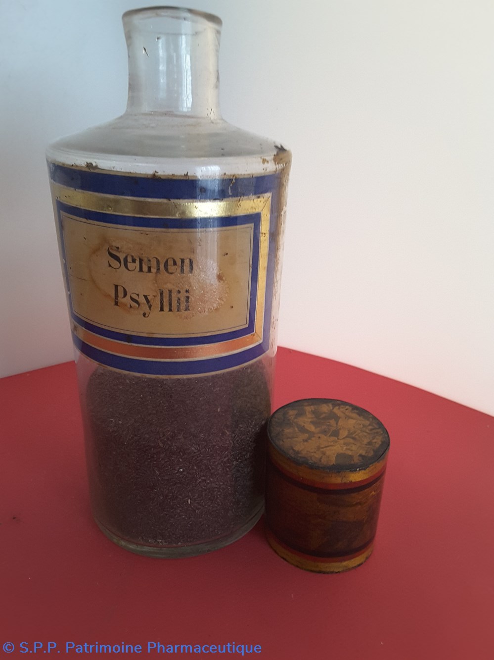 Semen Psyllii 2 science pharmacie semen psyllii