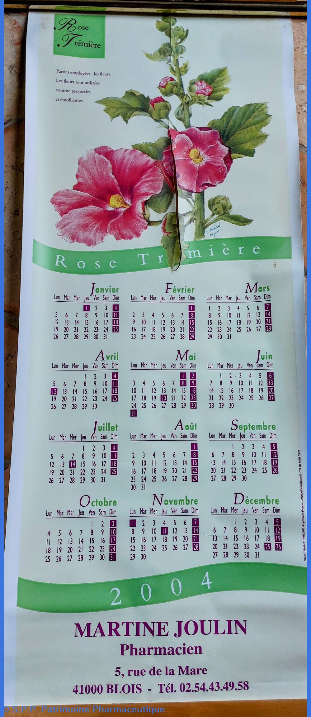 science pharmacie calendrier 2004 rose tremiere