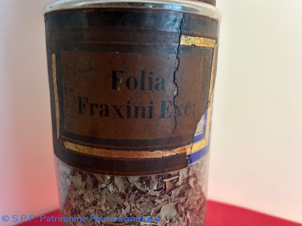 science pharmacie folia fraxini exc