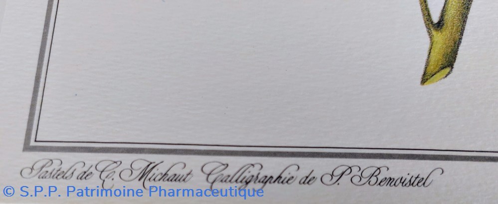 science pharmacie herbier reglisse