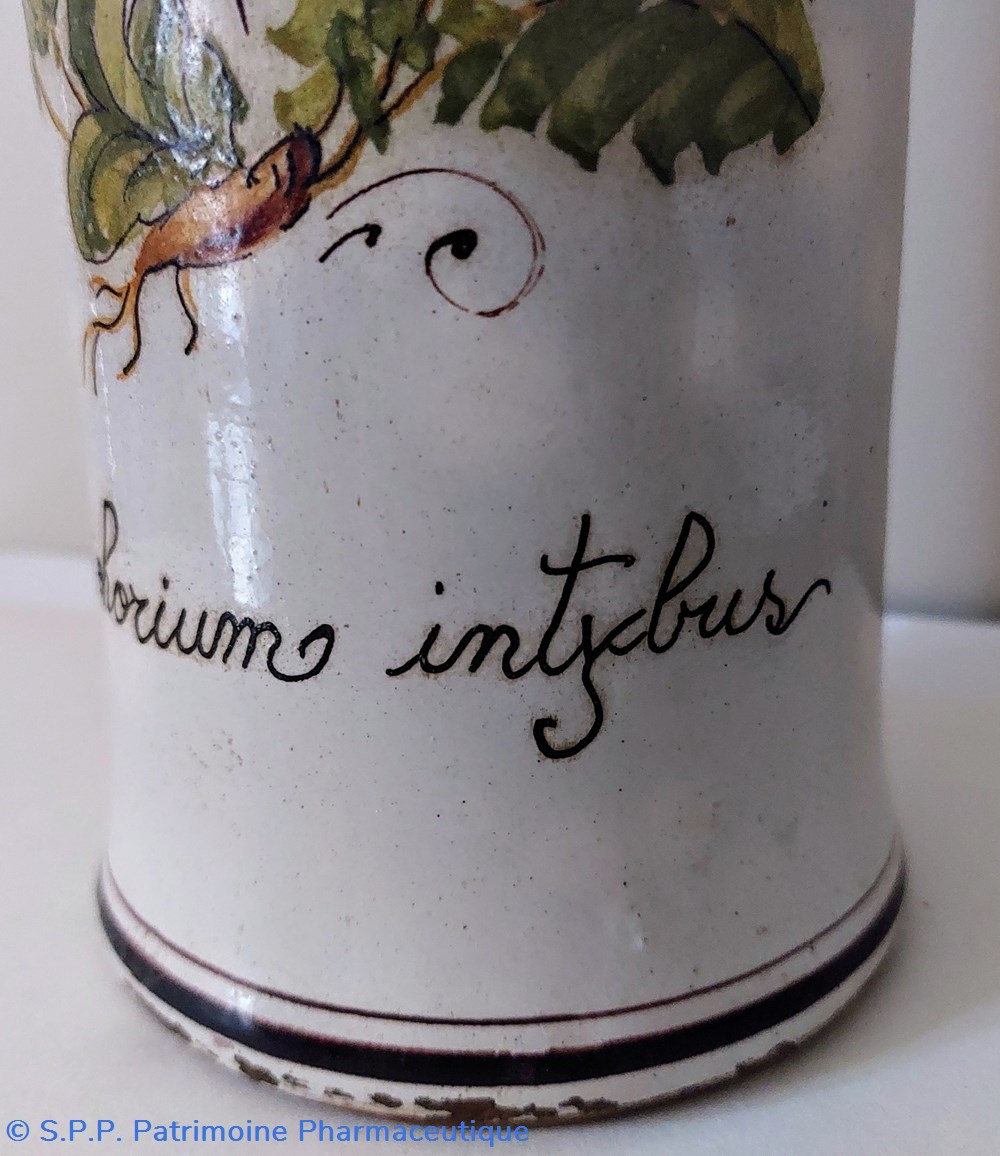 science pharmacie bouteille en gres decoree cichorium intybus