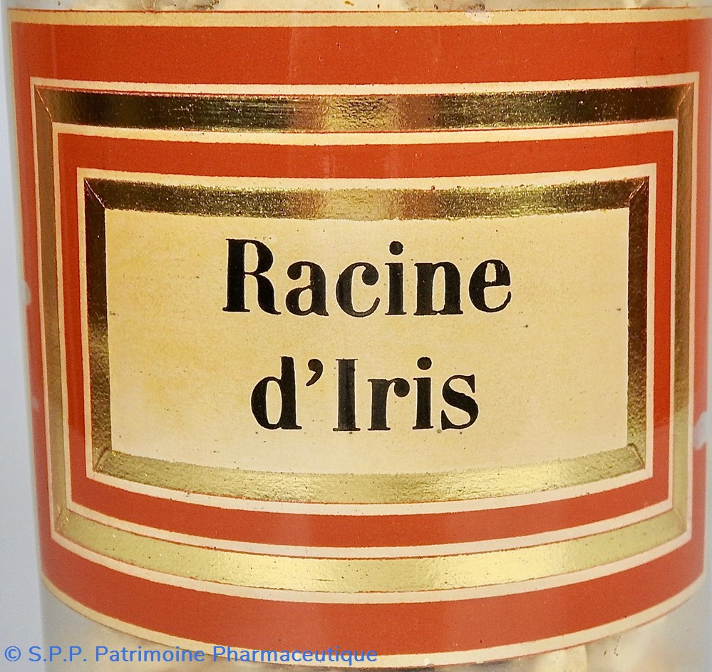 Flacon en verre Herboristerie grand modèle Pharmacie RAVASSE 2 science flacon en verre herboristerie grand modele pharmacie ravasse