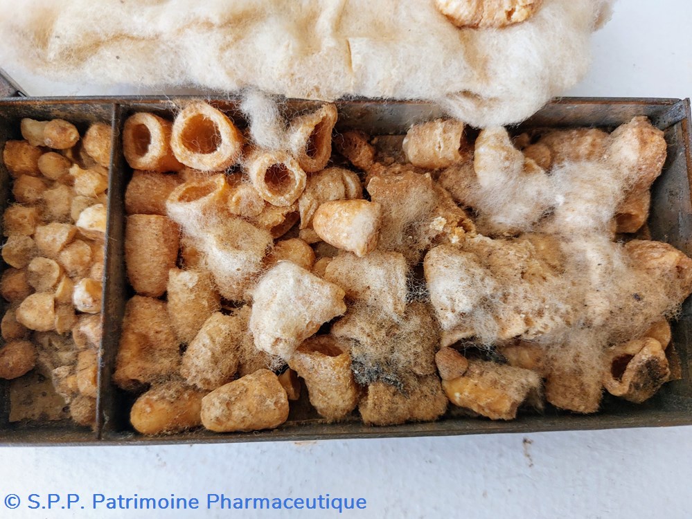 Suppositoires au beurre de cacao 7 science pharmacie suppositoires au beurre de cacao