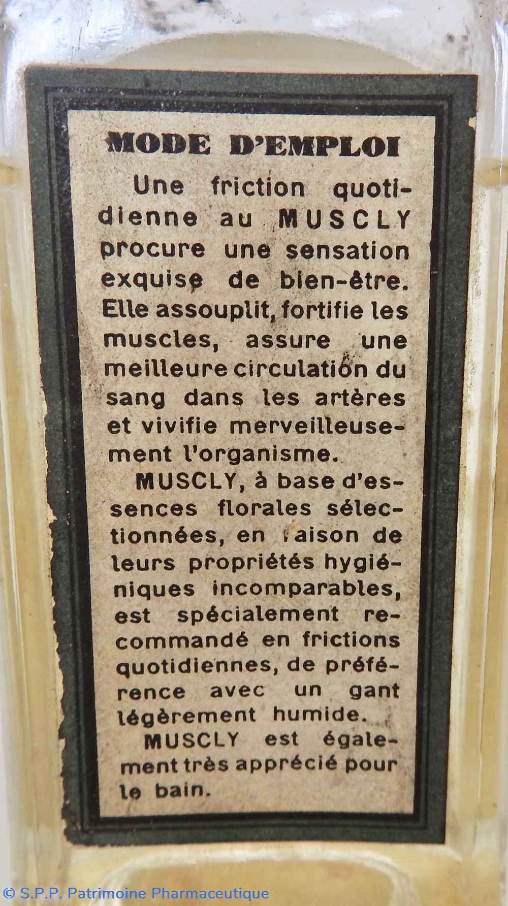 science pharmacie muscly