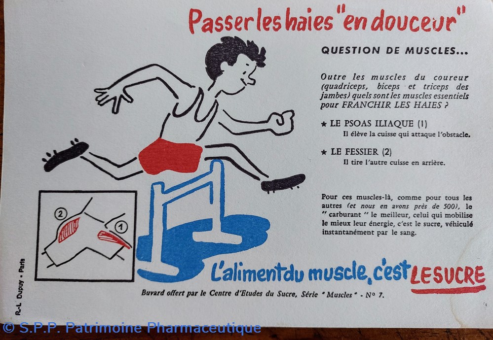 science pharmacie le sucre aliment du muscle serie muscles n 7 course de haies