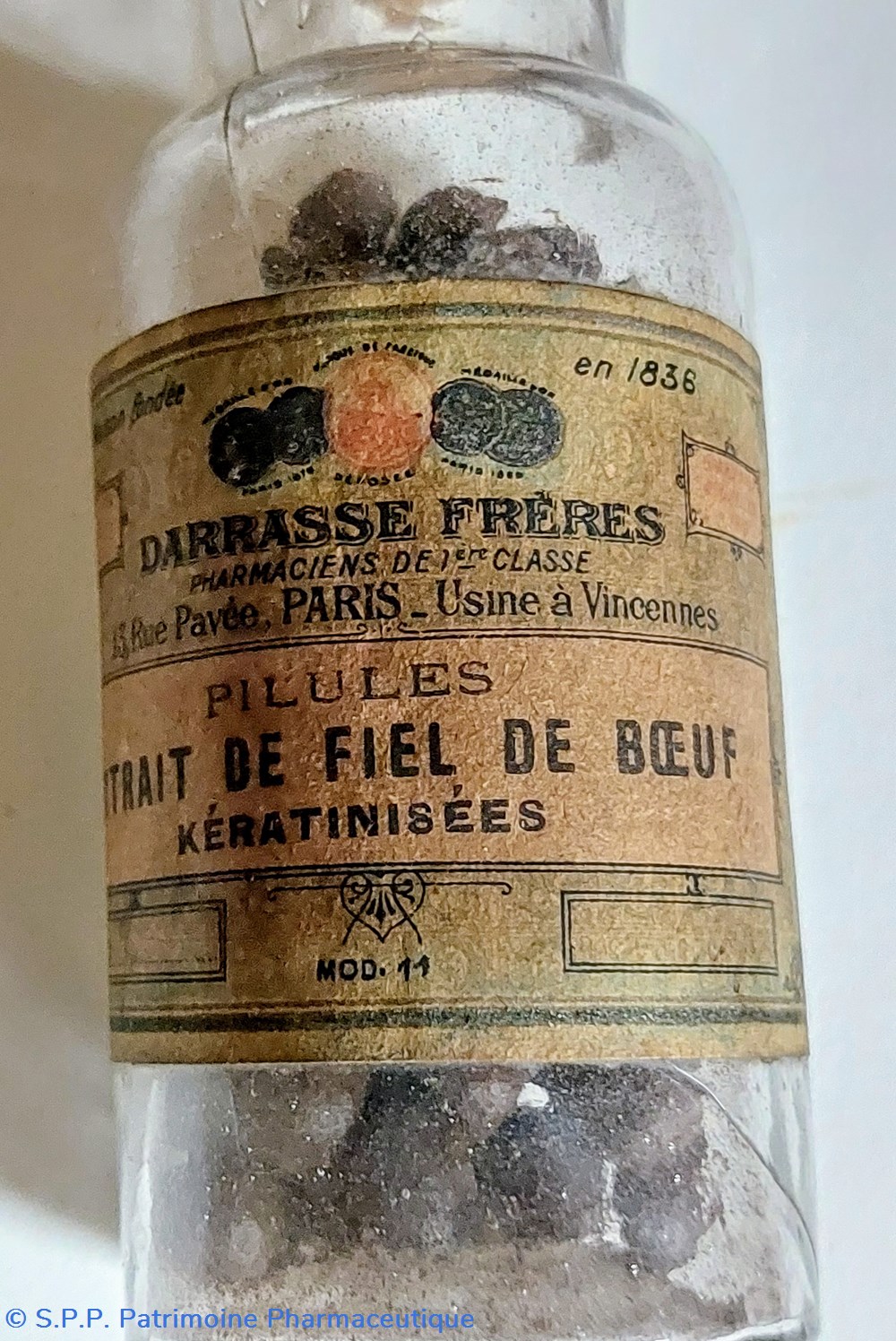 Extrait de Fiel de Bœuf - Flacon de 50 pilules 4 science pharmacie extrait de fiel de b uf flacon de 50 pilules