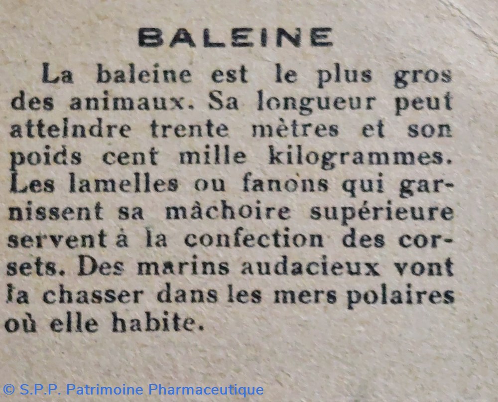 science pharmacie bon point jacquemaire la baleine et ses caracteristiques